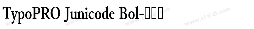 TypoPRO Junicode Bol字体转换
